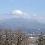 Arabafenice 3* 베차노리구레
