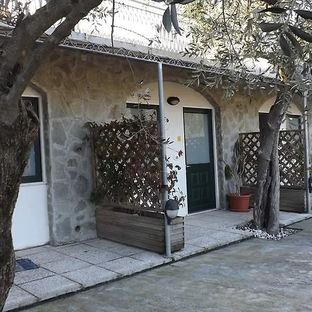 Arabafenice