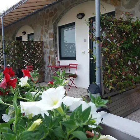 בית הארחה Arabafenice וצאנו ליגורה