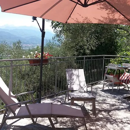 בית הארחה Arabafenice