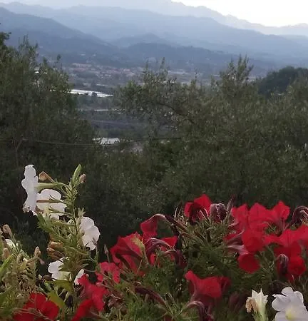 Arabafenice Πανσιόν