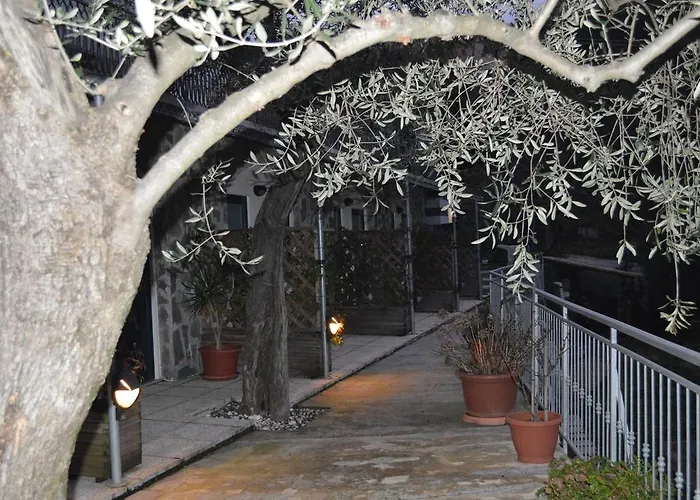 Arabafenice 3* فيزانو ليغوري