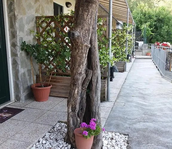 Arabafenice بيت ضيافة فيزانو ليغوري