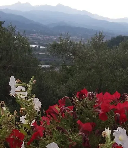 Arabafenice بيت ضيافة