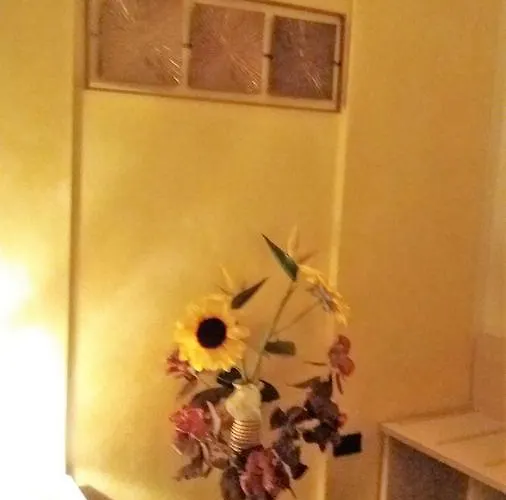 Arabafenice فيزانو ليغوري